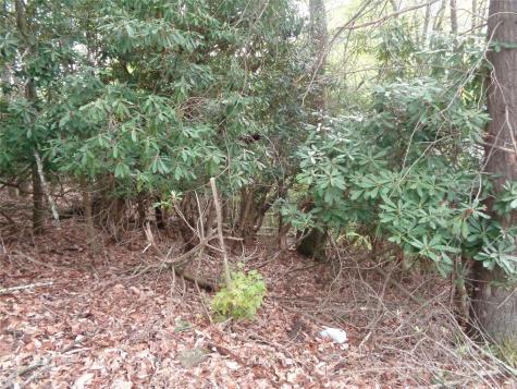 00 Promiseland Road Canton NC 28716