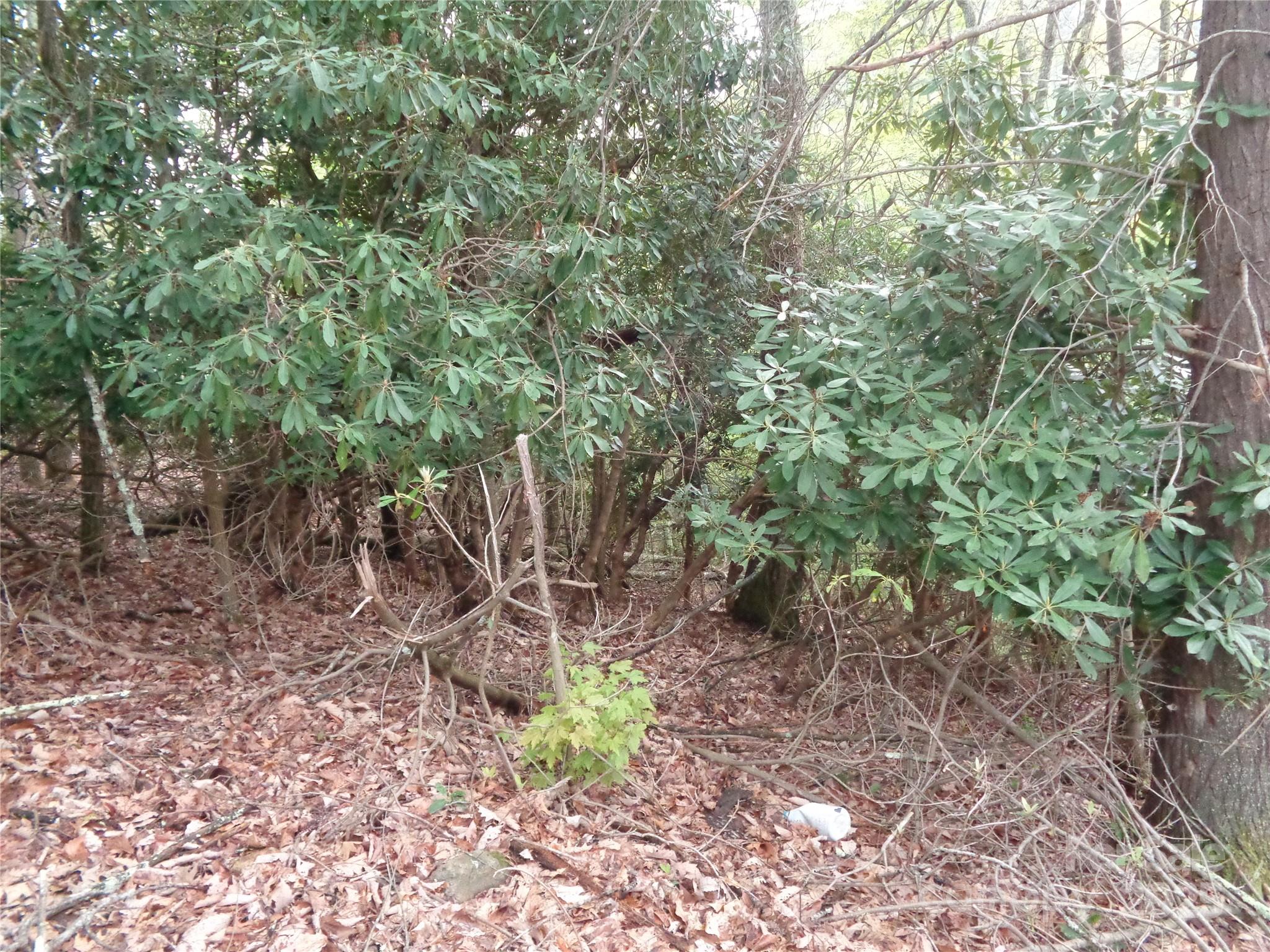 00 Promiseland Road Canton NC 28716