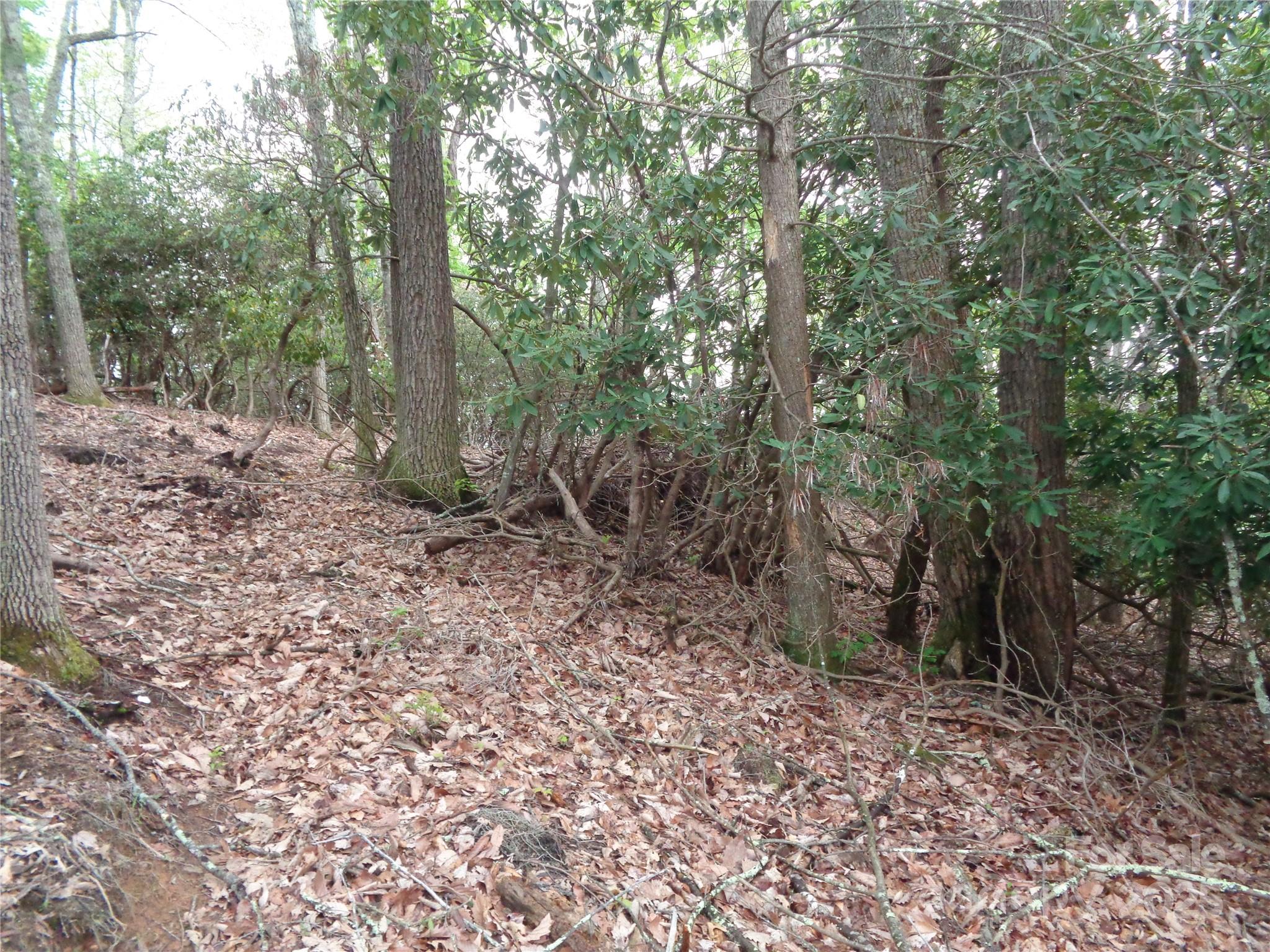 00 Promiseland Road Canton NC 28716