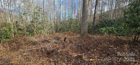 Lot 20 Twinbrook Lane Maggie Valley NC 28751