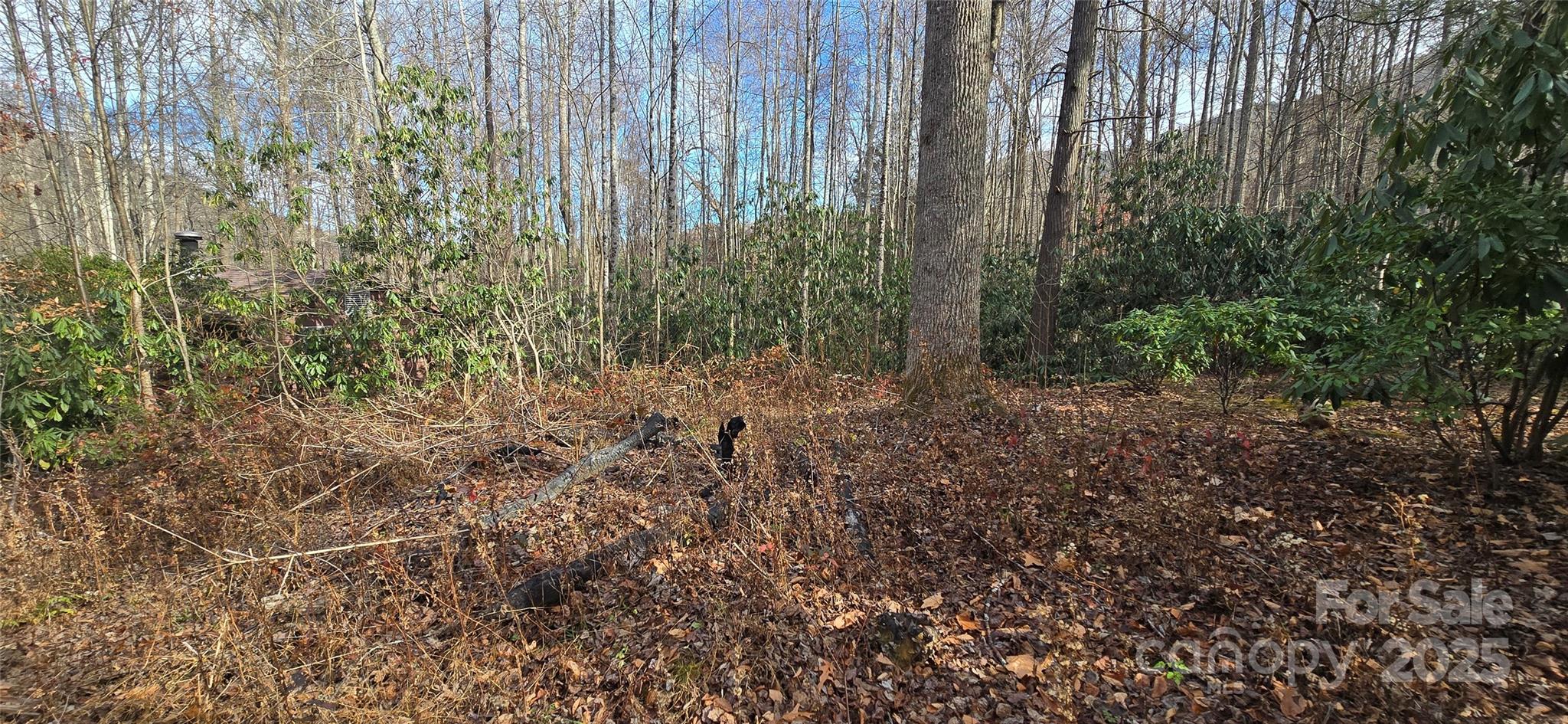 Lot 20 Twinbrook Lane Maggie Valley NC 28751