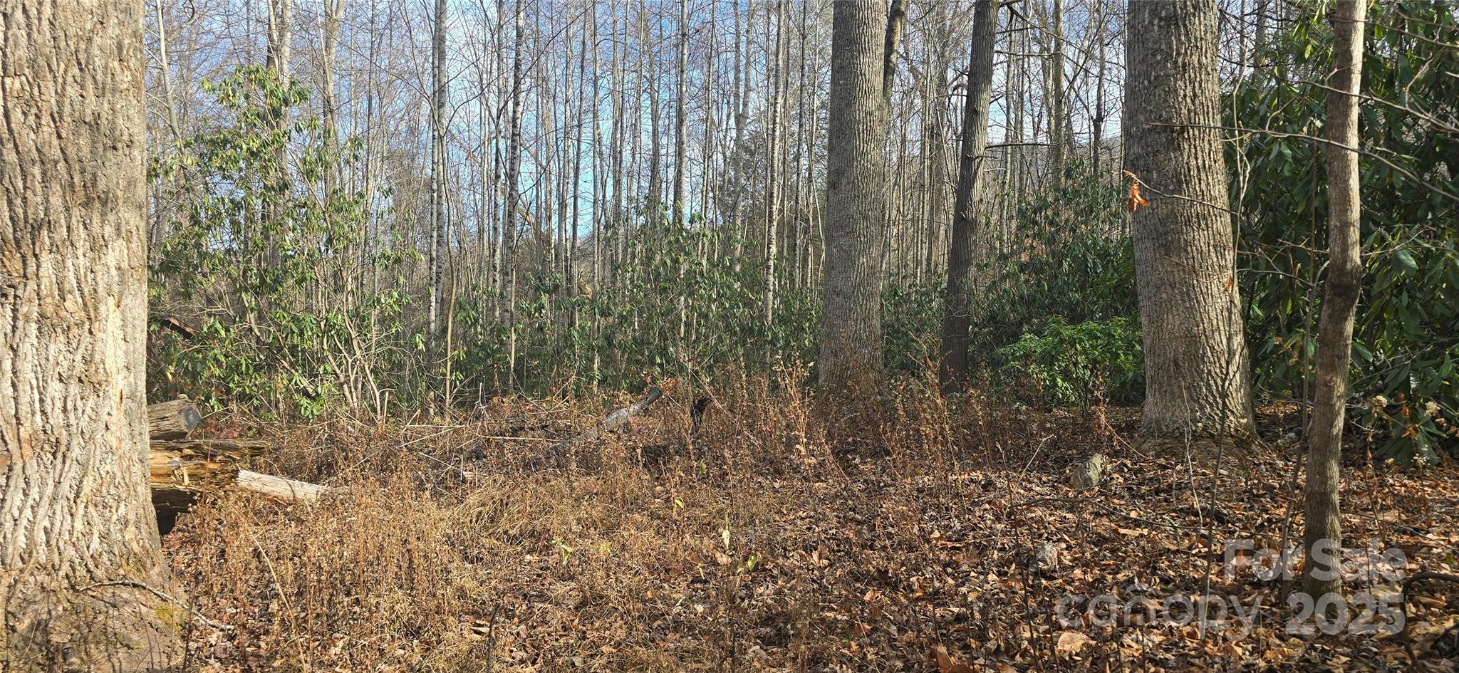 Lot 20 Twinbrook Lane Maggie Valley NC 28751