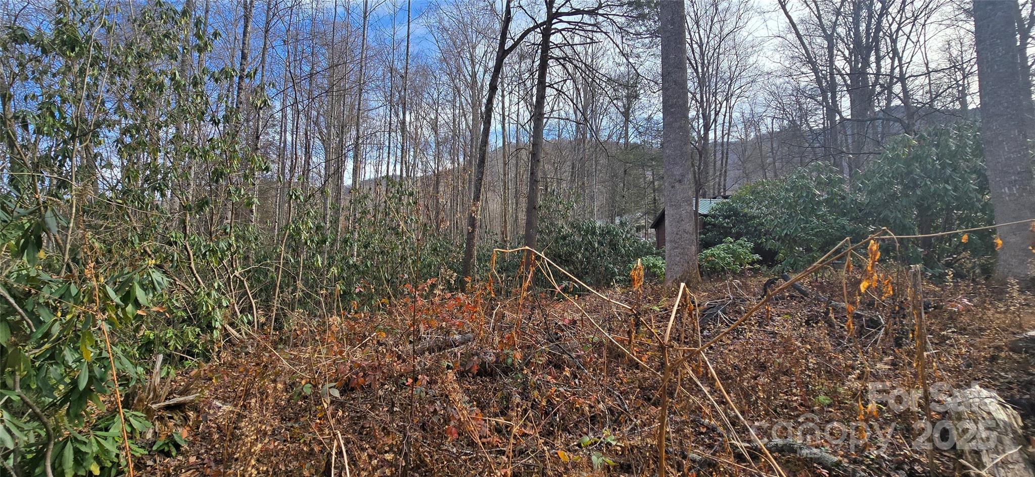Lot 20 Twinbrook Lane Maggie Valley NC 28751