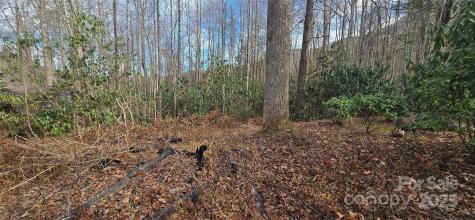 Lot 20 Twinbrook Lane Maggie Valley NC 28751