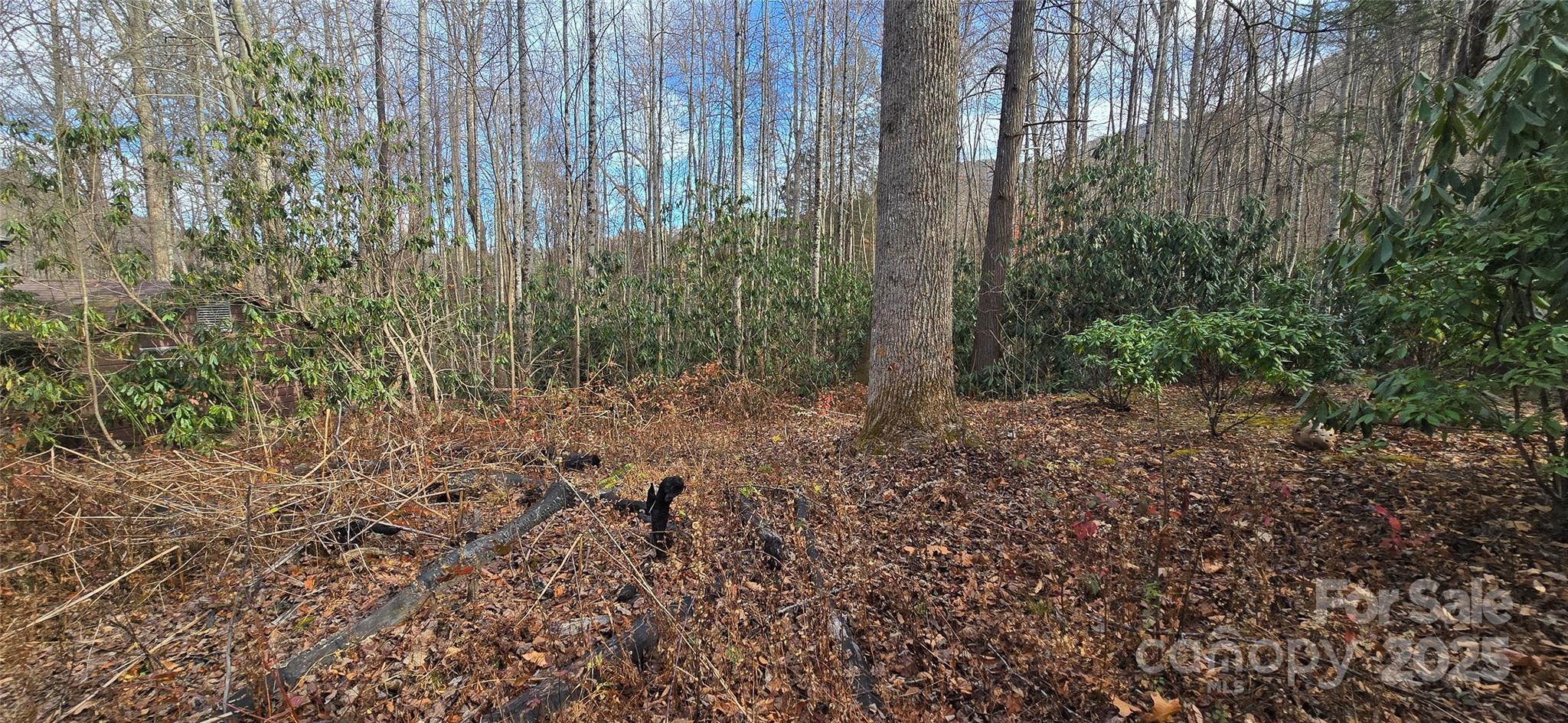 Lot 20 Twinbrook Lane Maggie Valley NC 28751