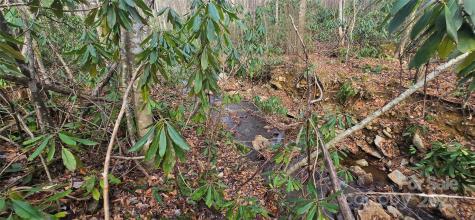 Lot 20 Twinbrook Lane Maggie Valley NC 28751
