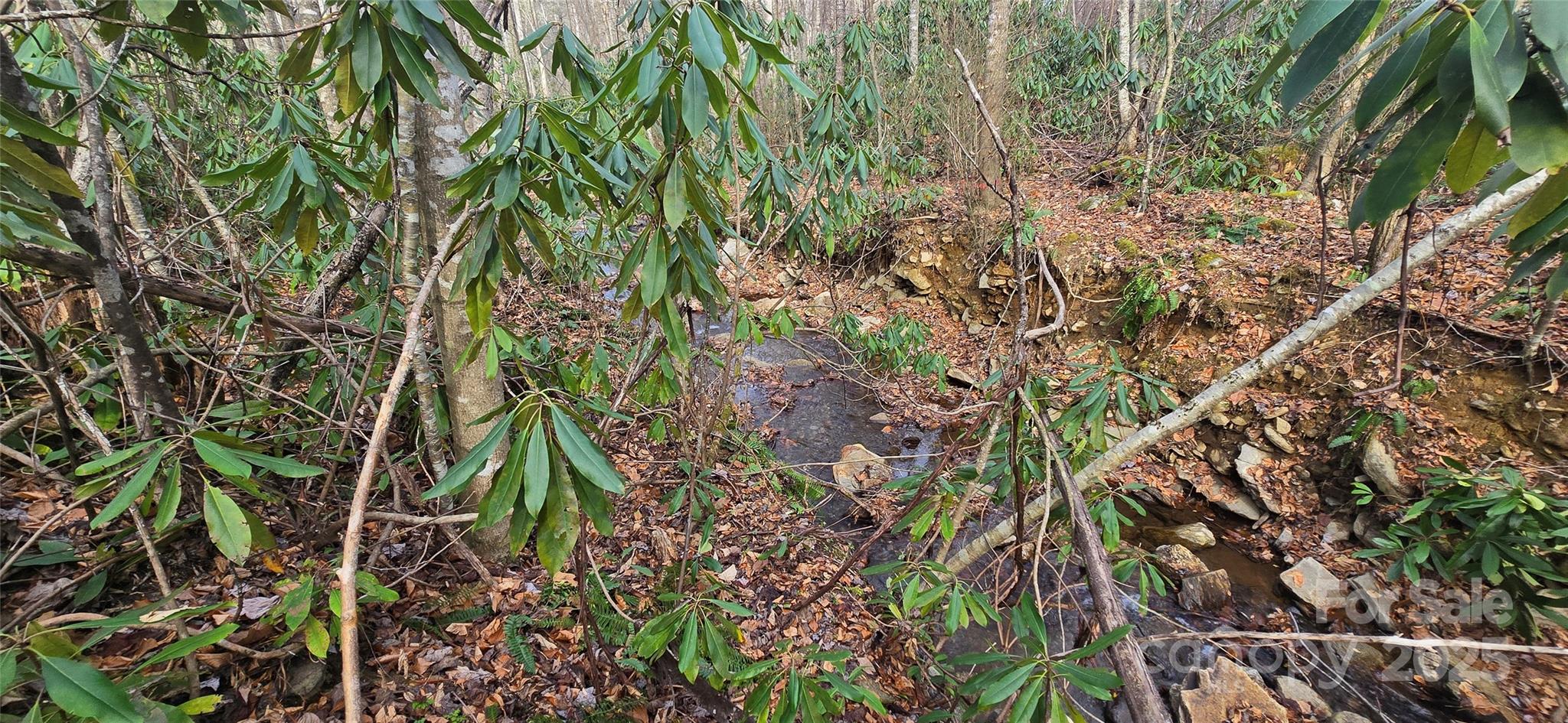Lot 20 Twinbrook Lane Maggie Valley NC 28751