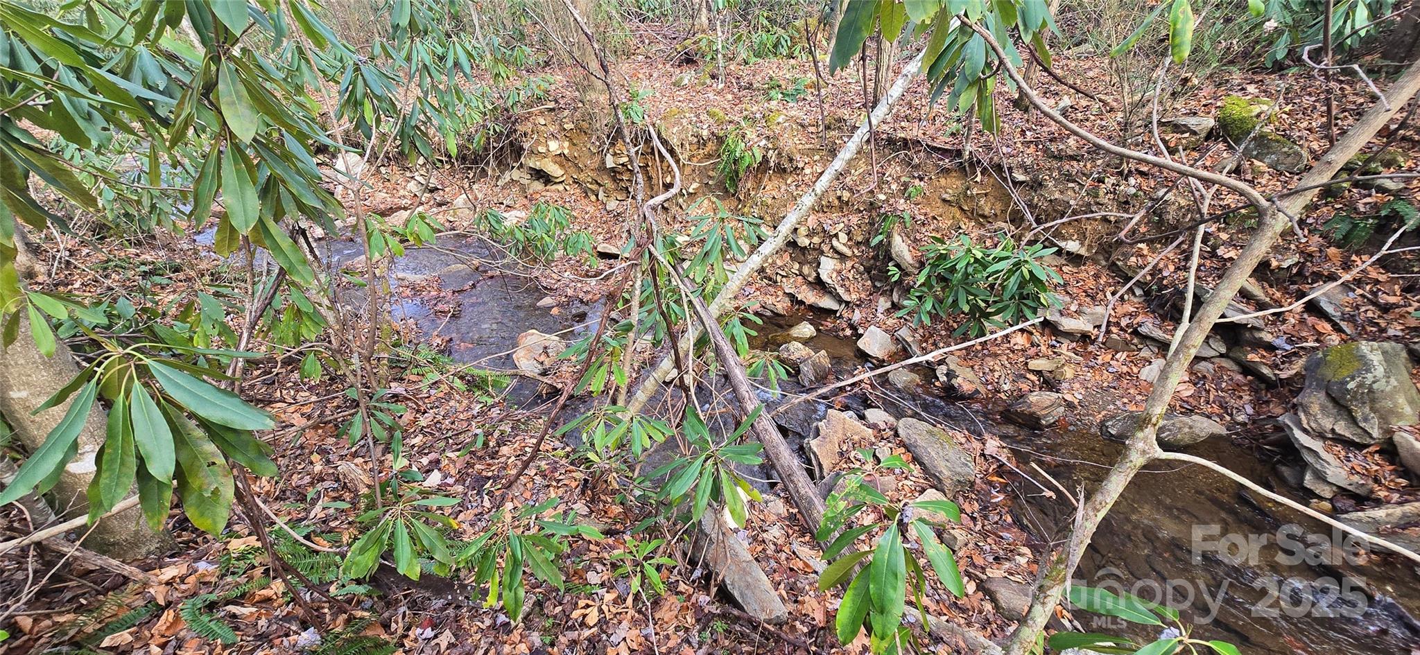 Lot 20 Twinbrook Lane Maggie Valley NC 28751