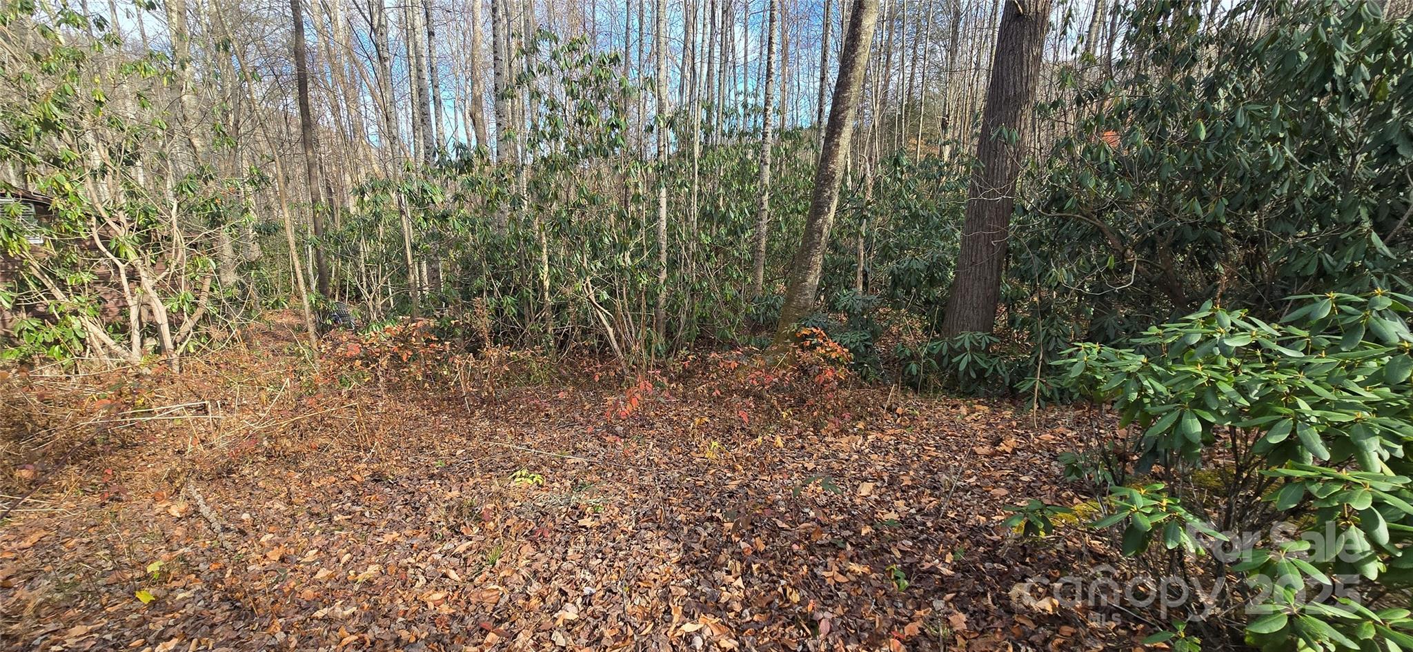 Lot 20 Twinbrook Lane Maggie Valley NC 28751