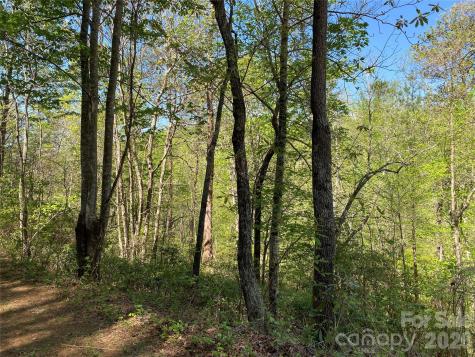 266 Mountain Creek Way Marion NC 28752