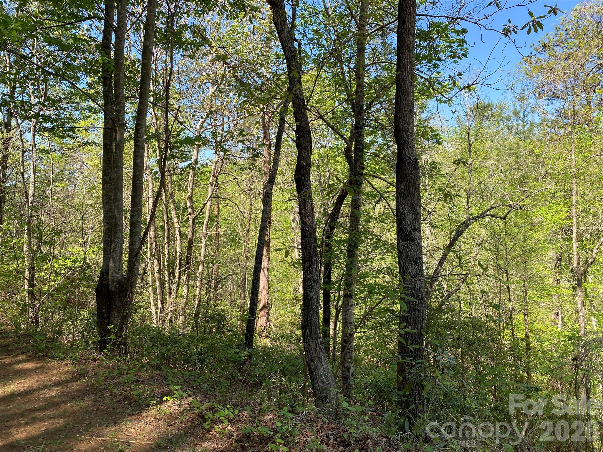 266 Mountain Creek Way Marion NC 28752