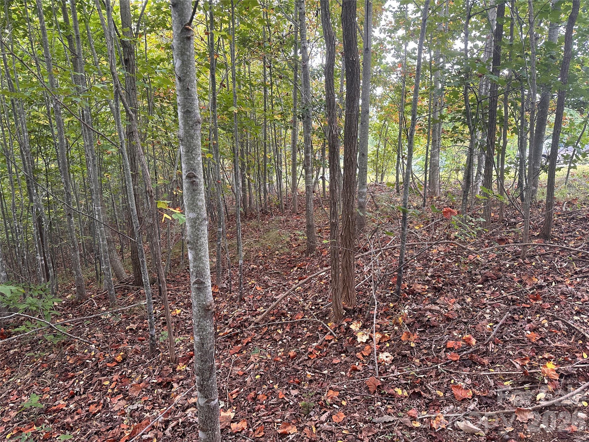 311 Scenic Vista Drive Nebo NC 28761