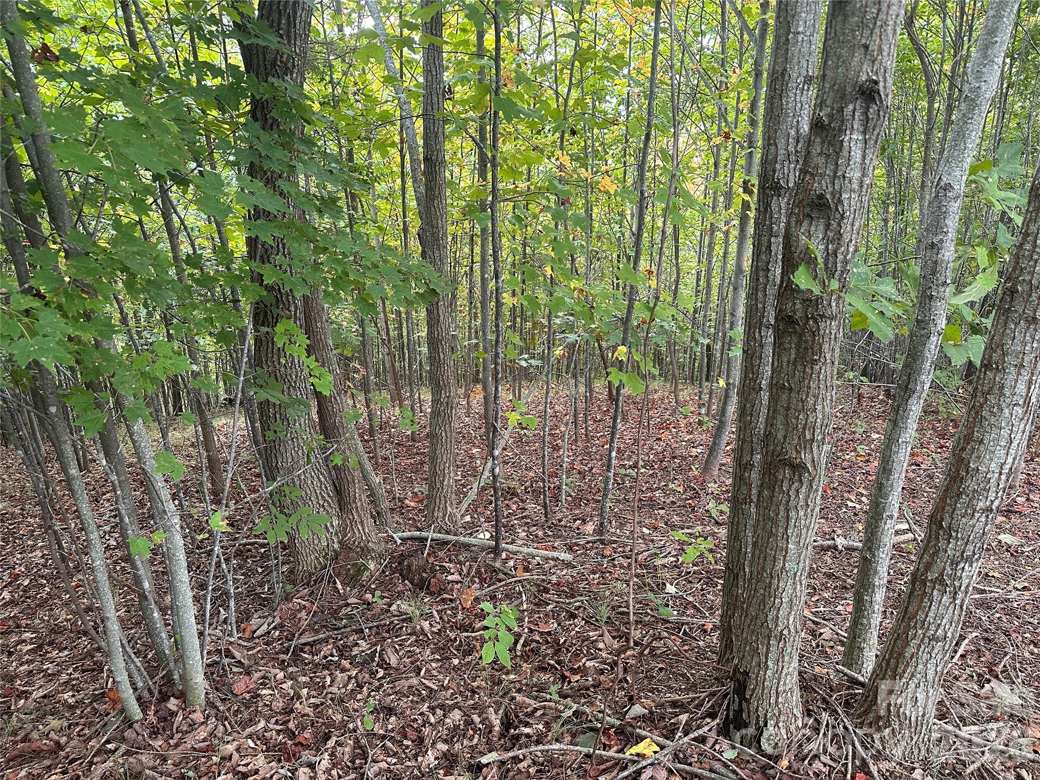 311 Scenic Vista Drive Nebo NC 28761
