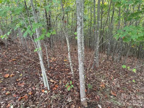 311 Scenic Vista Drive Nebo NC 28761
