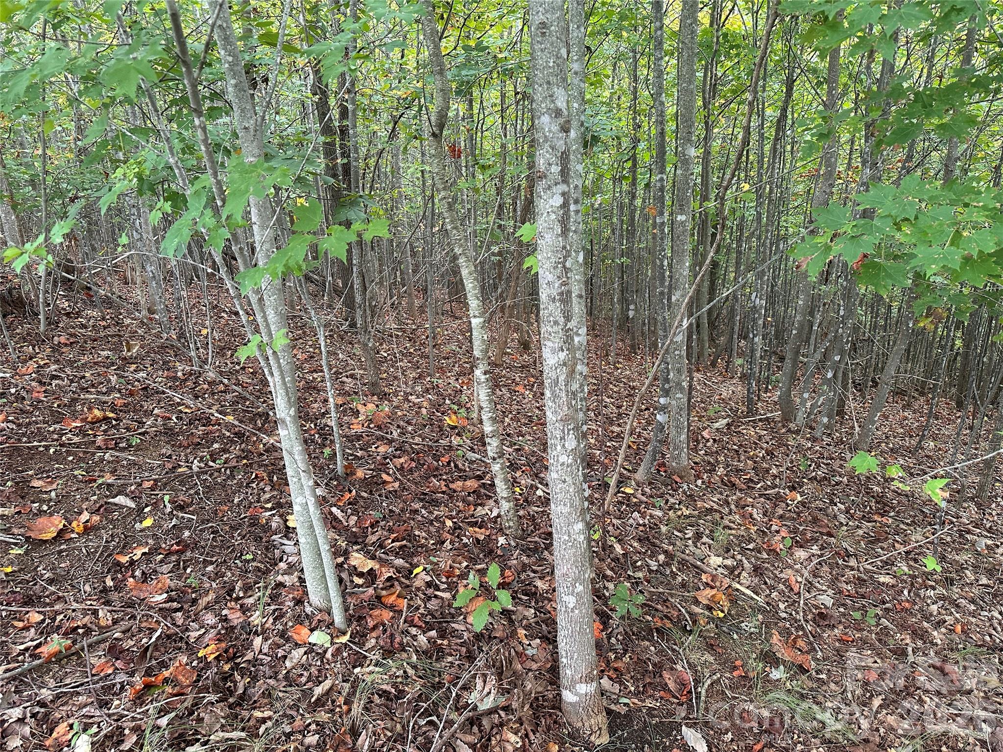 311 Scenic Vista Drive Nebo NC 28761