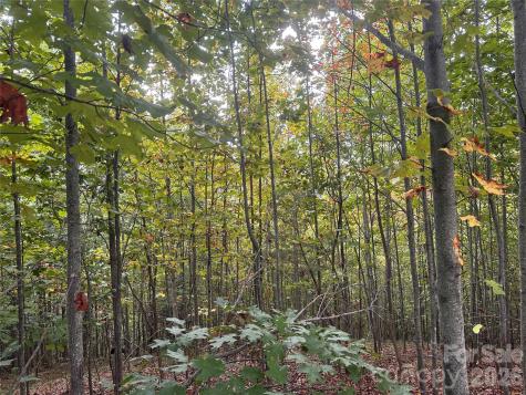 311 Scenic Vista Drive Nebo NC 28761