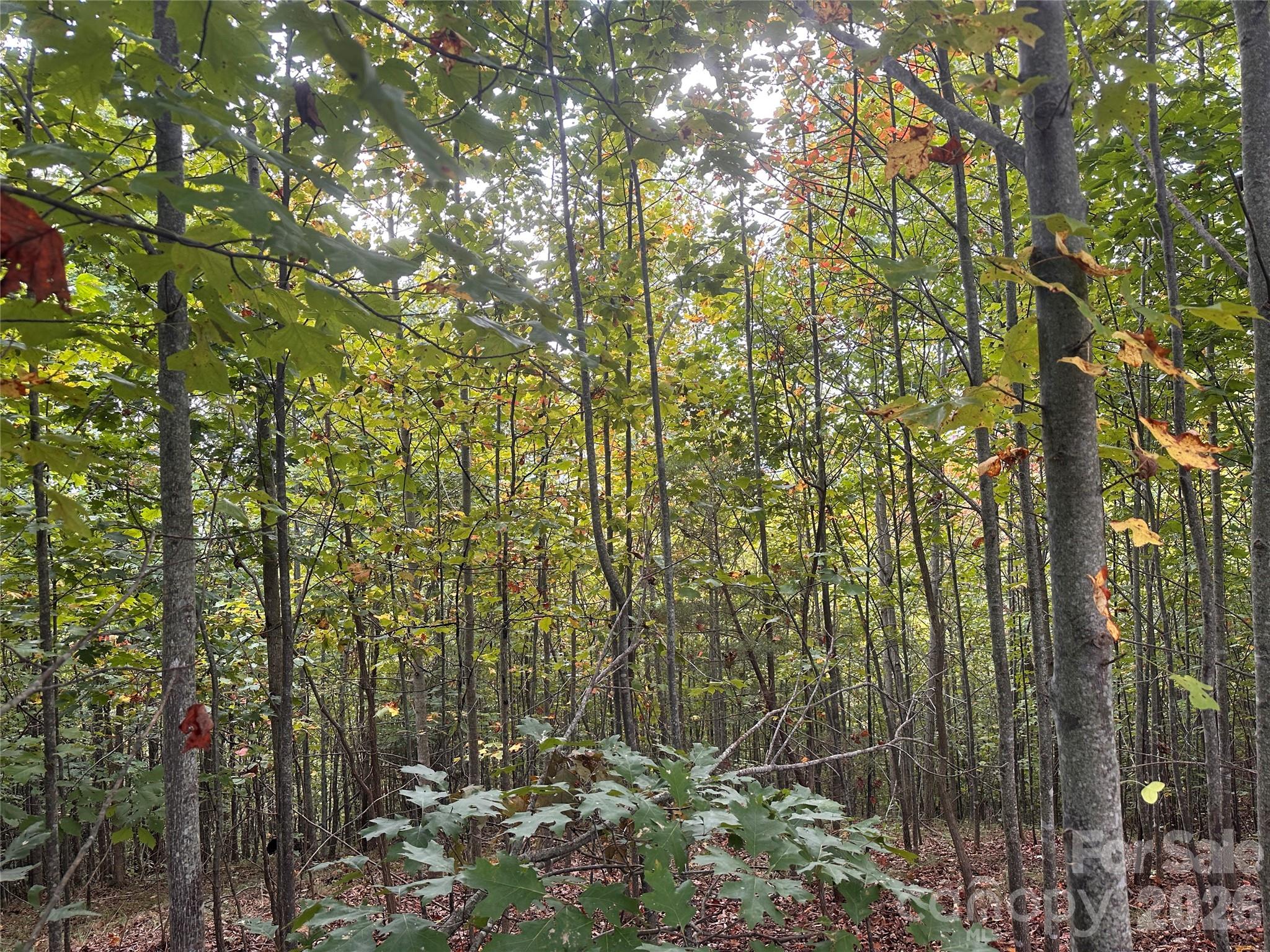 311 Scenic Vista Drive Nebo NC 28761