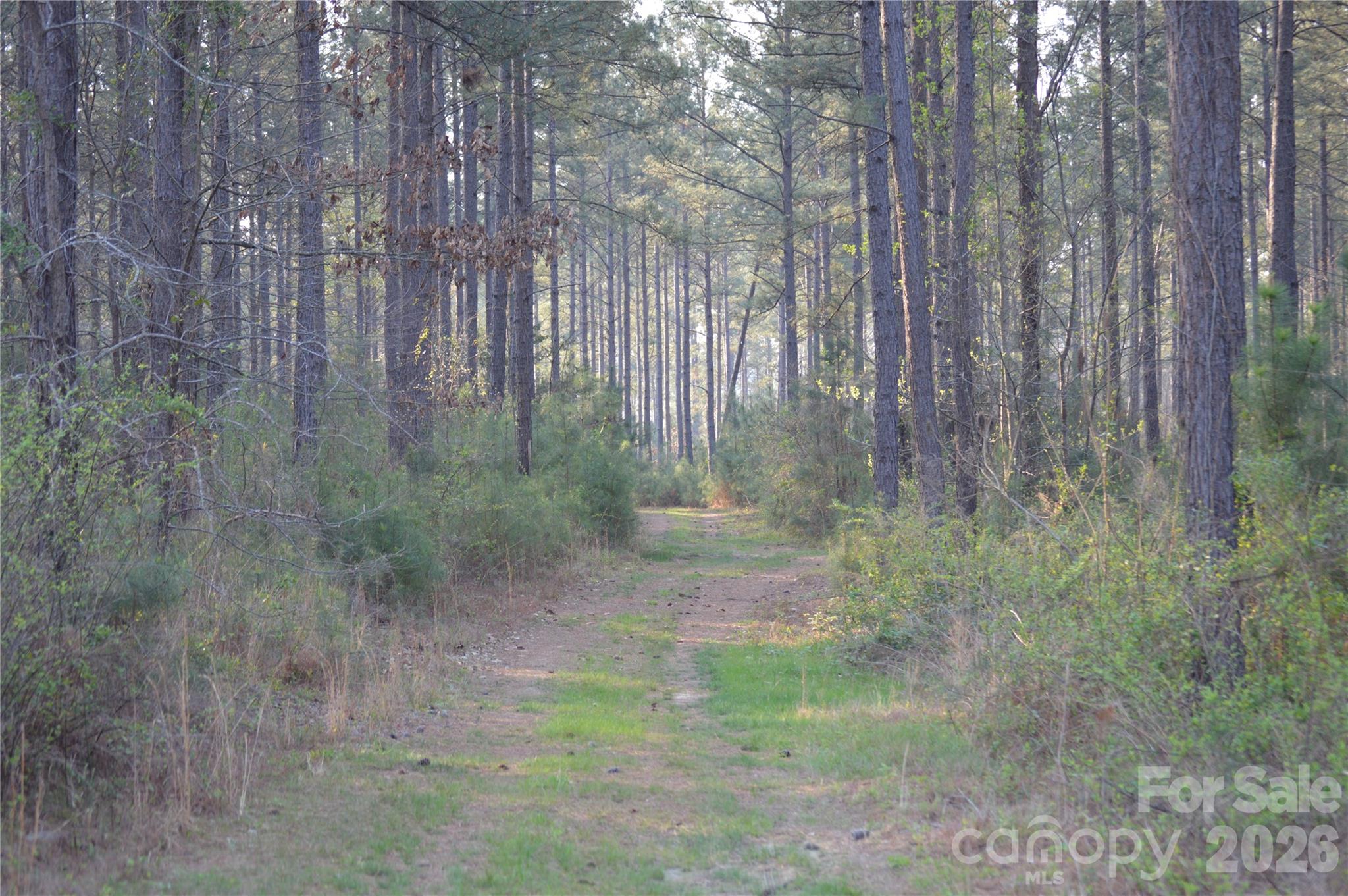 00 Peter Hawk Creek Road Jonesville SC 29353