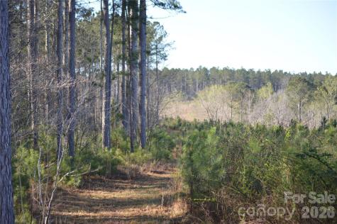 00 Peter Hawk Creek Road Jonesville SC 29353