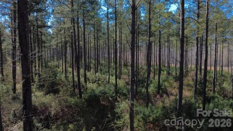 00 Peter Hawk Creek Road Jonesville SC 29353