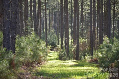 00 Peter Hawk Creek Road Jonesville SC 29353