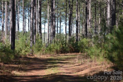 00 Peter Hawk Creek Road Jonesville SC 29353