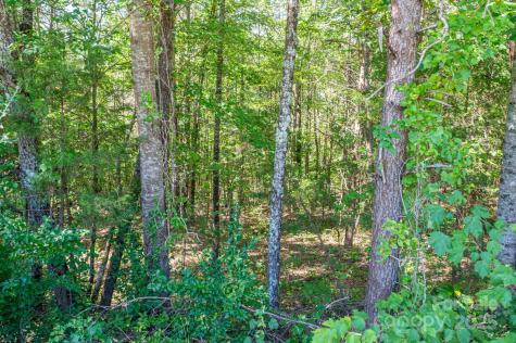 Lot 7 Meadow Crossing Drive Rutherfordton NC 28139
