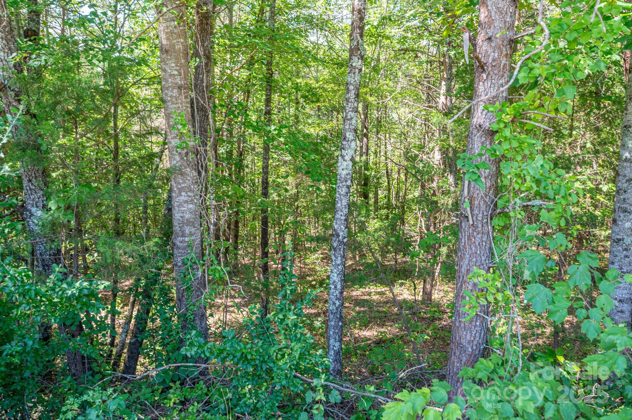 Lot 7 Meadow Crossing Drive Rutherfordton NC 28139