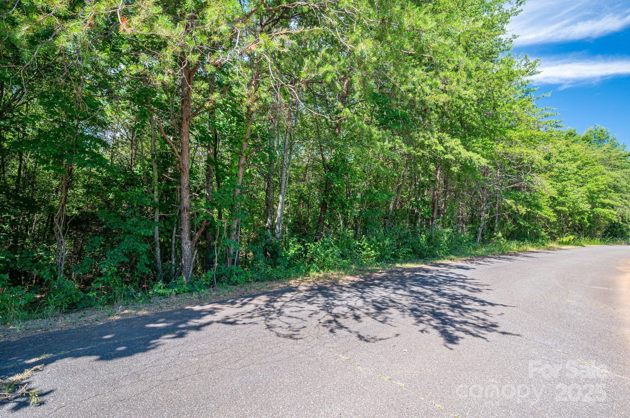 Lot 7 Meadow Crossing Drive Rutherfordton NC 28139