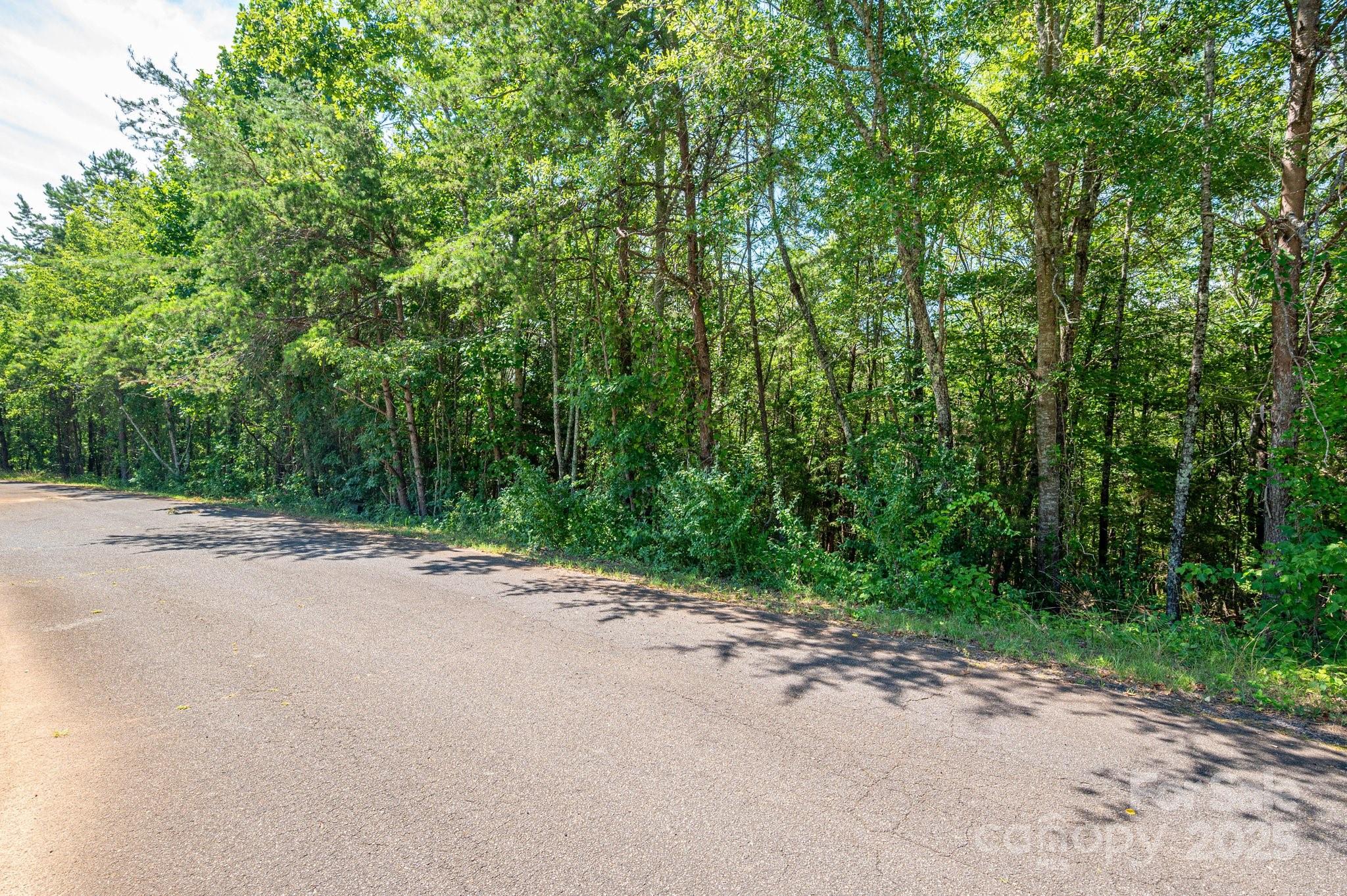 Lot 7 Meadow Crossing Drive Rutherfordton NC 28139