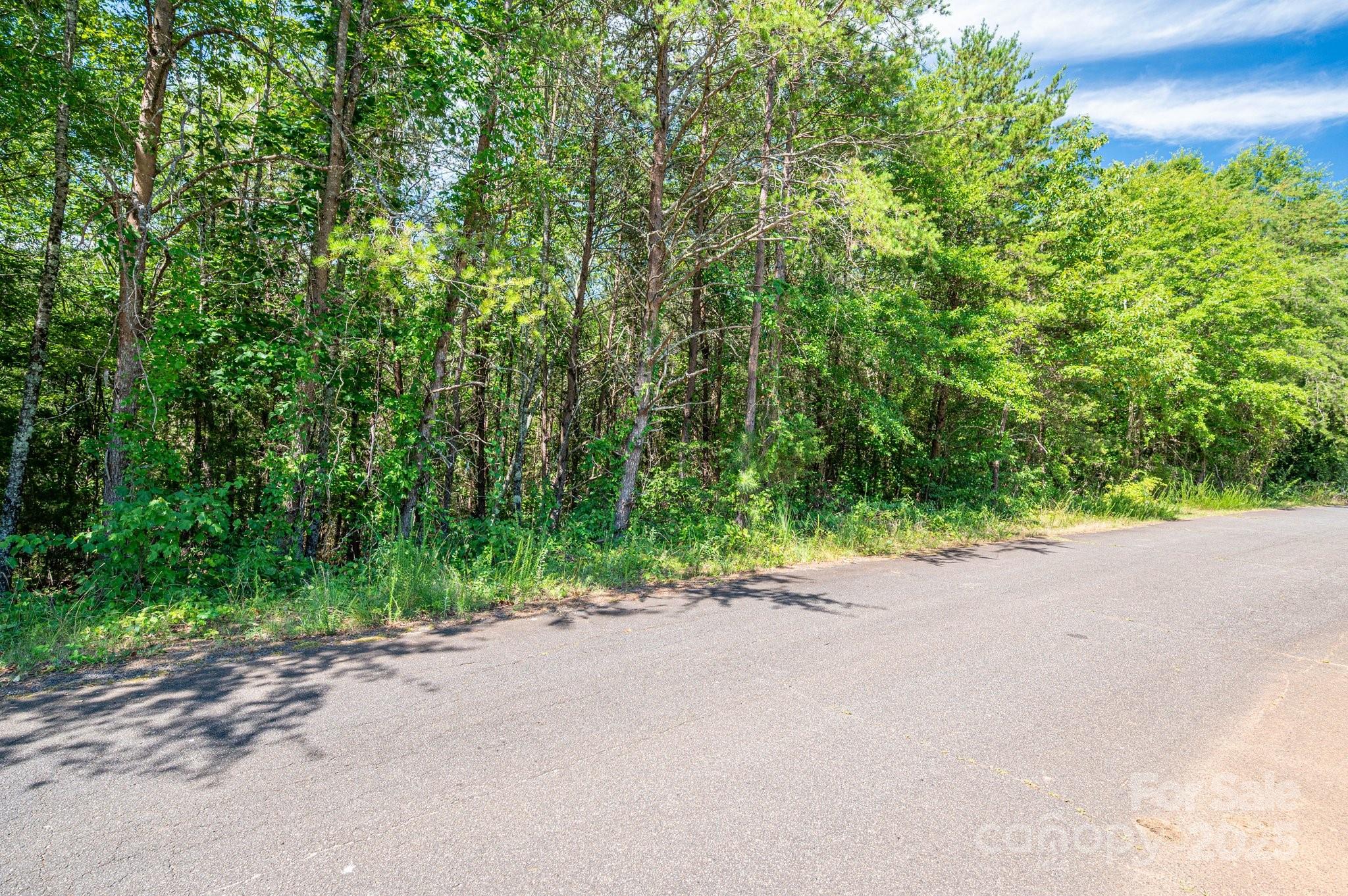 Lot 7 Meadow Crossing Drive Rutherfordton NC 28139