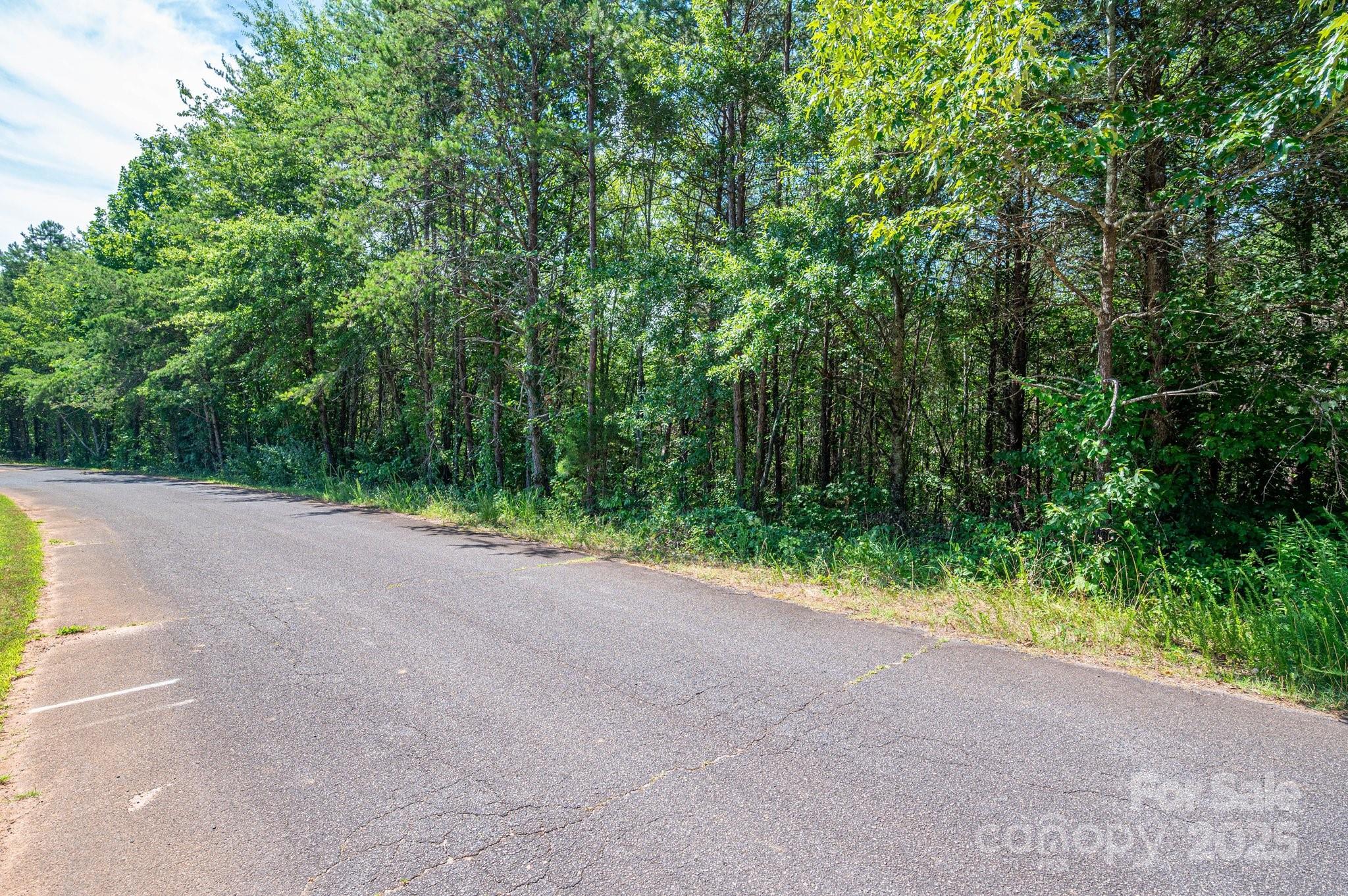 Lot 7 Meadow Crossing Drive Rutherfordton NC 28139