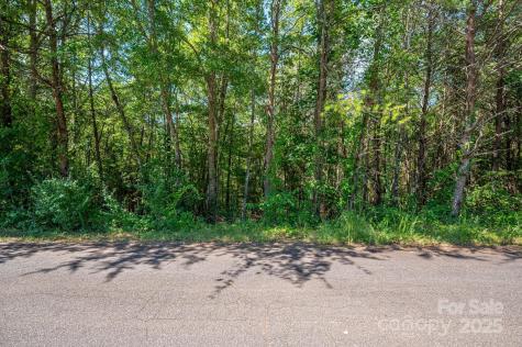 Lot 7 Meadow Crossing Drive Rutherfordton NC 28139