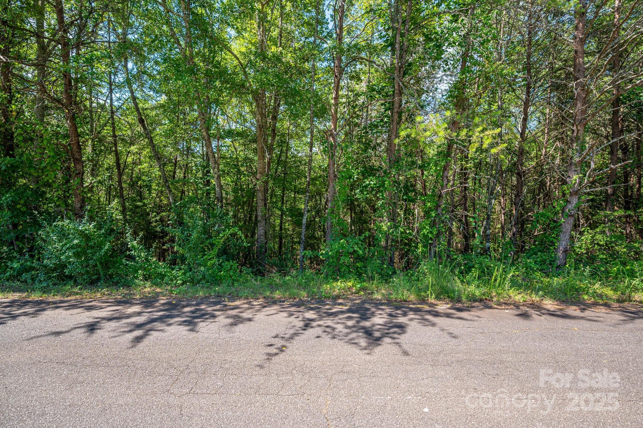 Lot 7 Meadow Crossing Drive Rutherfordton NC 28139
