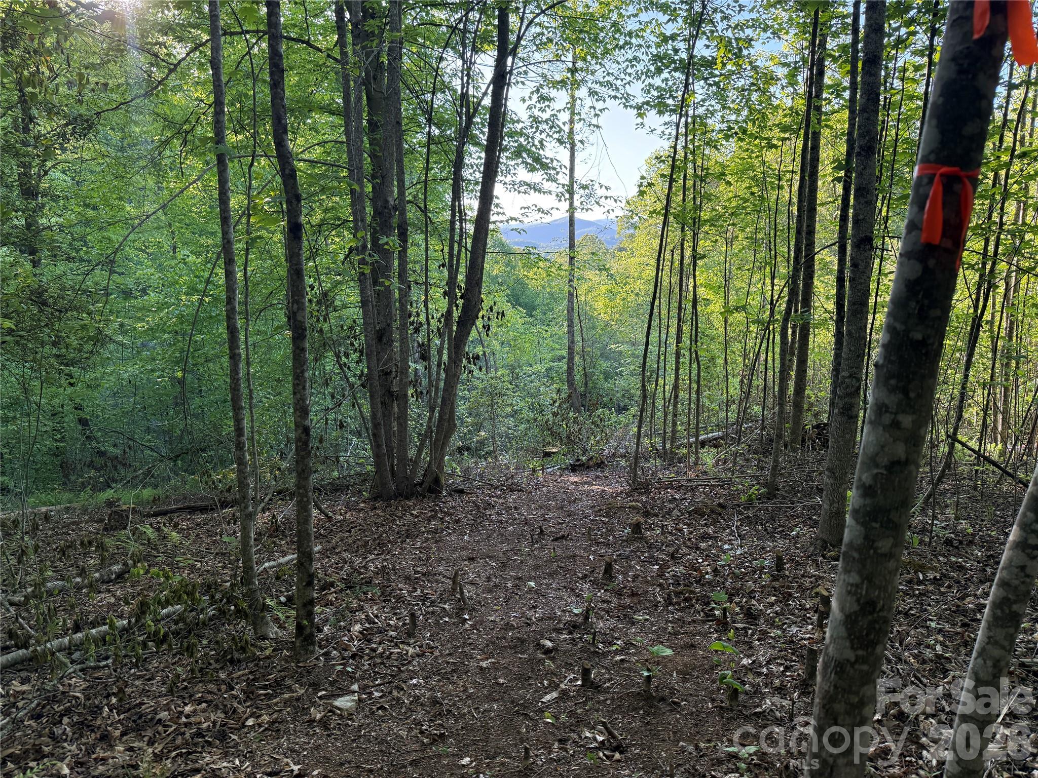 Lot # 6 West Legacy Drive Hendersonville NC 28739