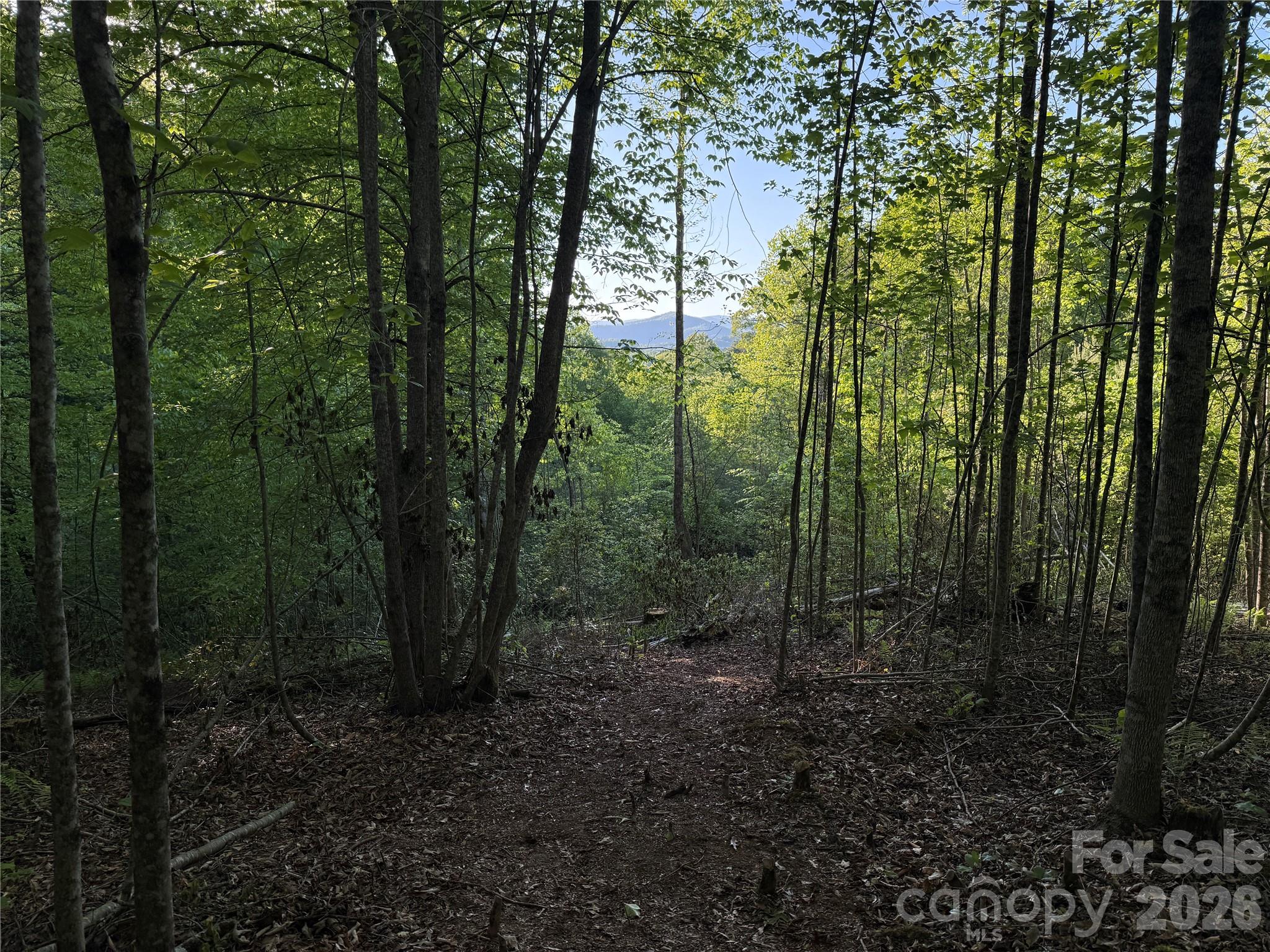 Lot # 6 West Legacy Drive Hendersonville NC 28739