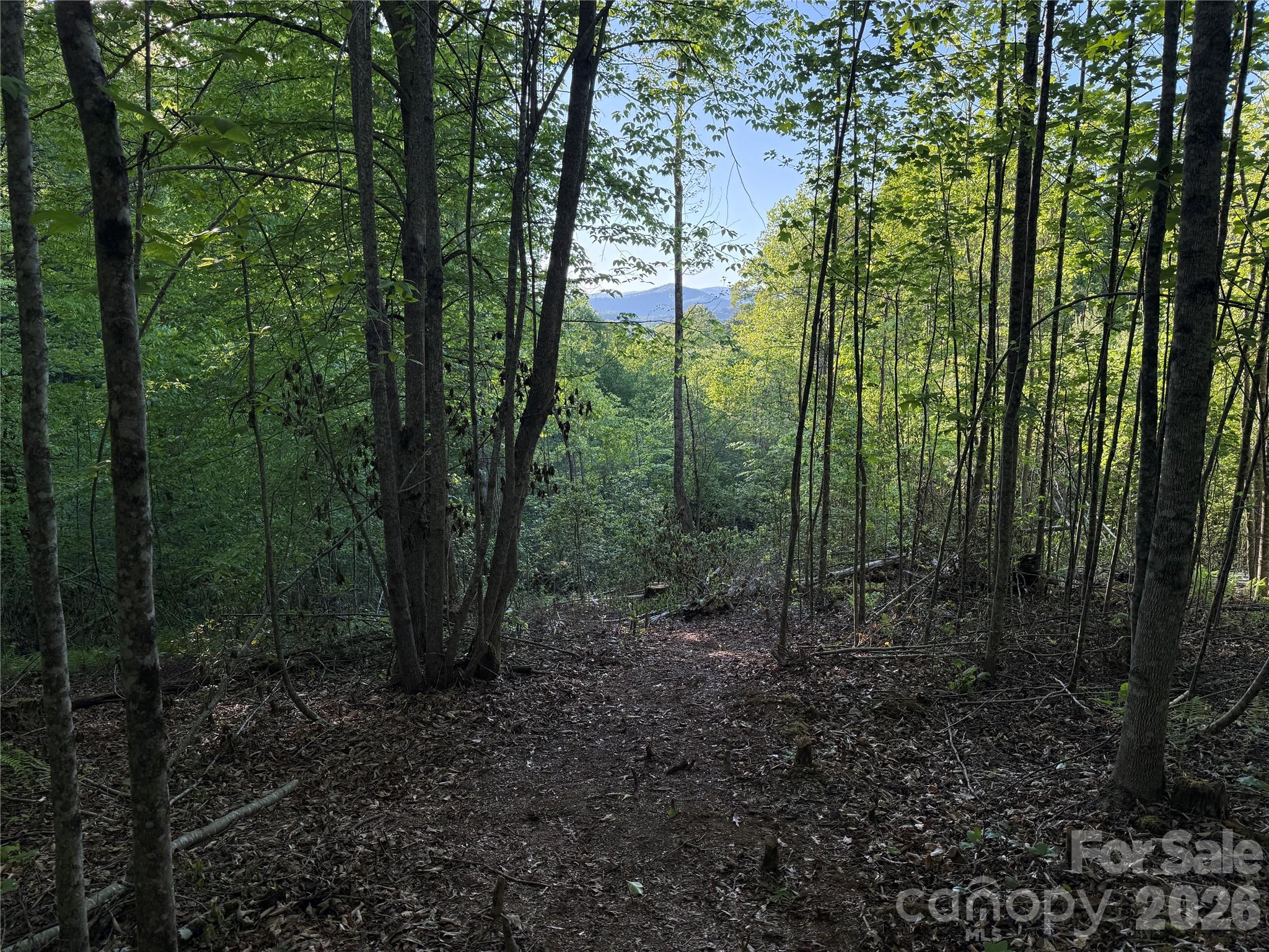 Lot # 6 West Legacy Drive Hendersonville NC 28739