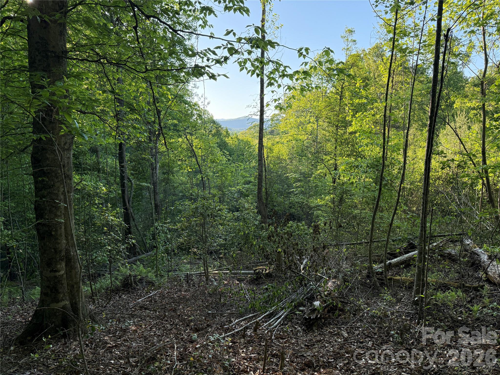 Lot # 6 West Legacy Drive Hendersonville NC 28739