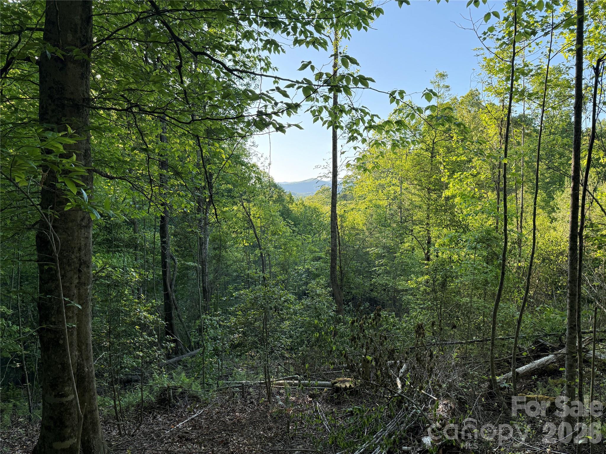 Lot # 6 West Legacy Drive Hendersonville NC 28739
