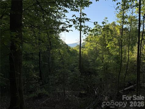 Lot # 6 West Legacy Drive Hendersonville NC 28739