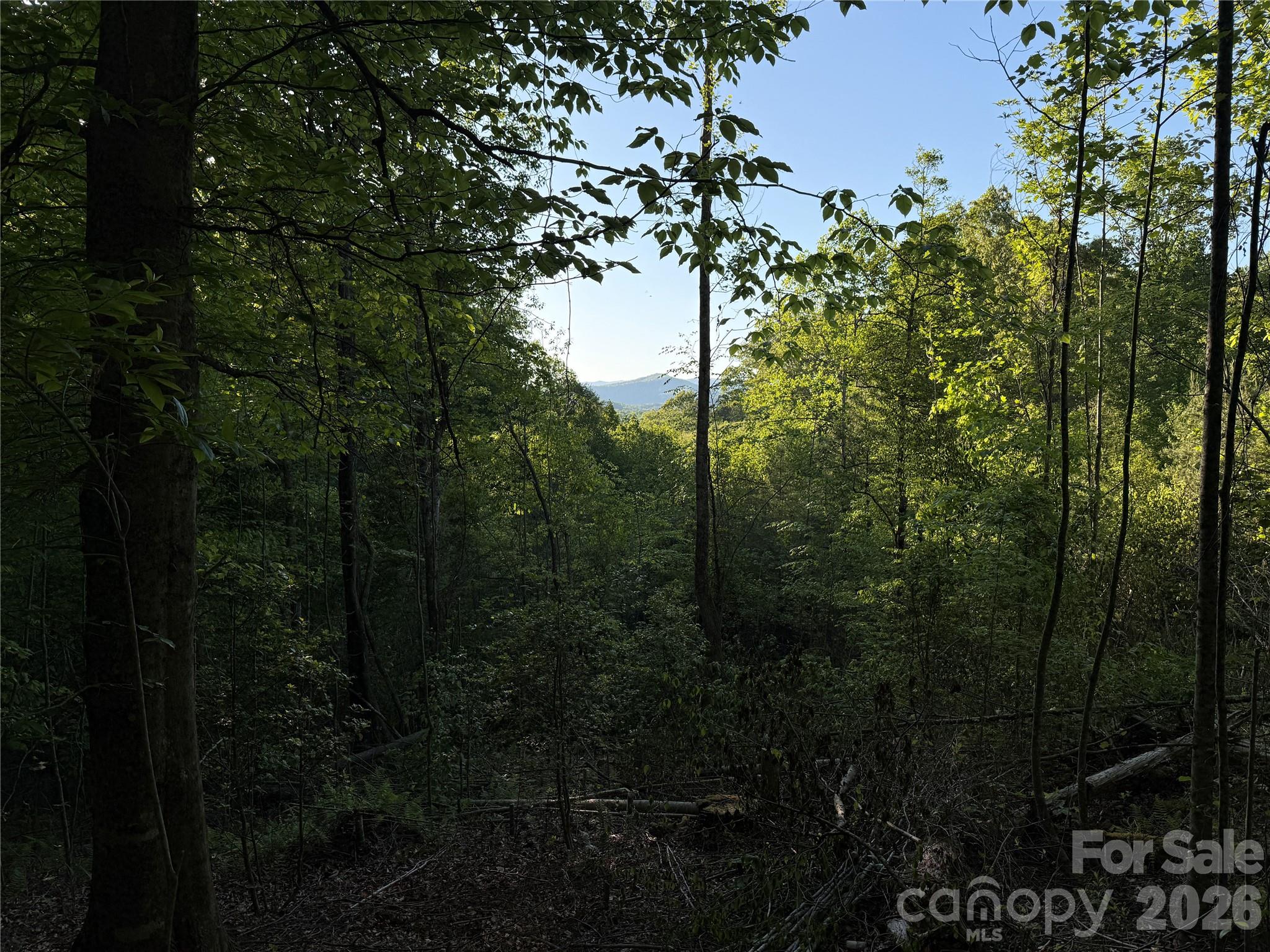 Lot # 6 West Legacy Drive Hendersonville NC 28739