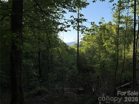 Lot # 6 West Legacy Drive Hendersonville NC 28739