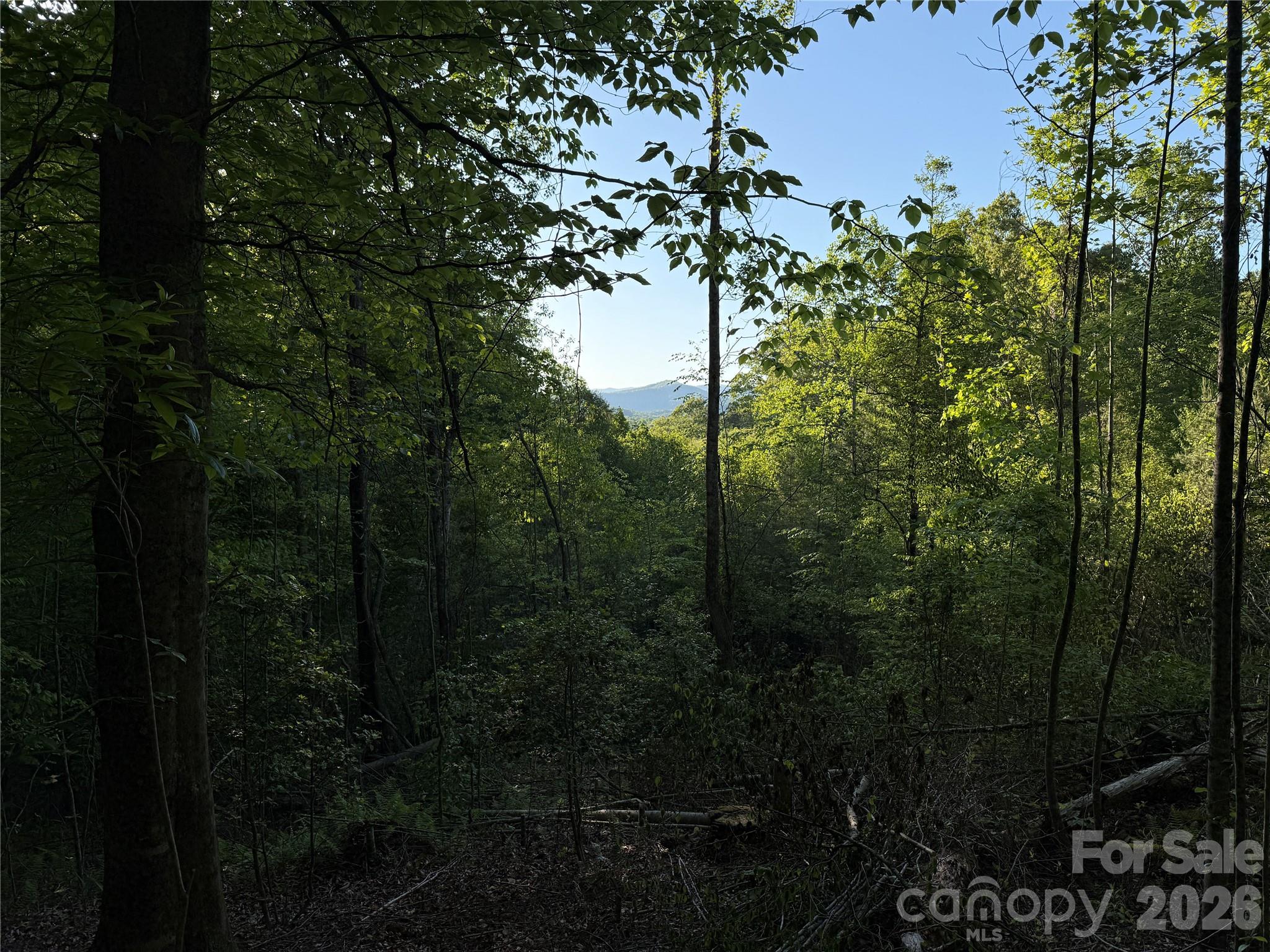 Lot # 6 West Legacy Drive Hendersonville NC 28739