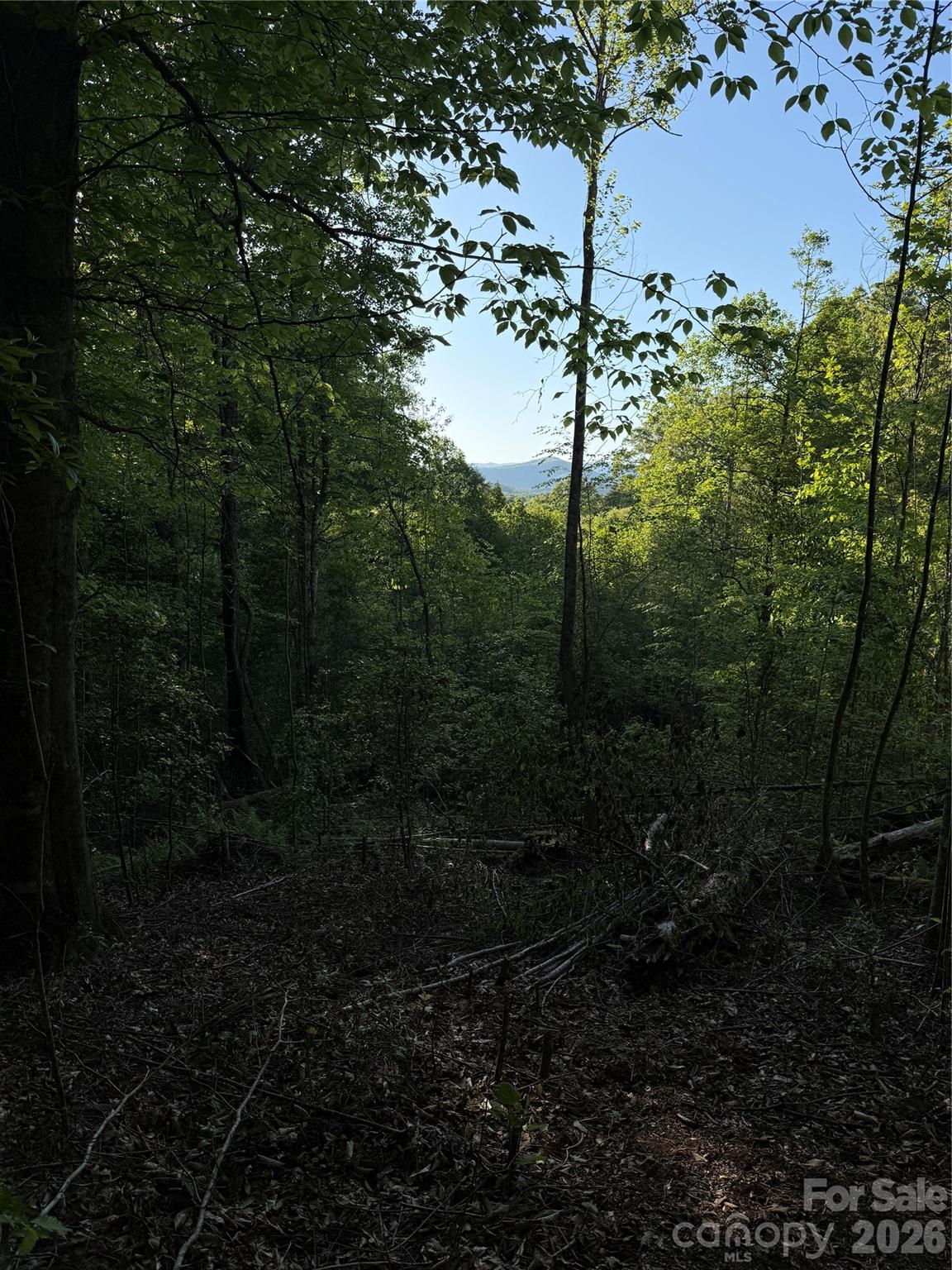 Lot # 6 West Legacy Drive Hendersonville NC 28739