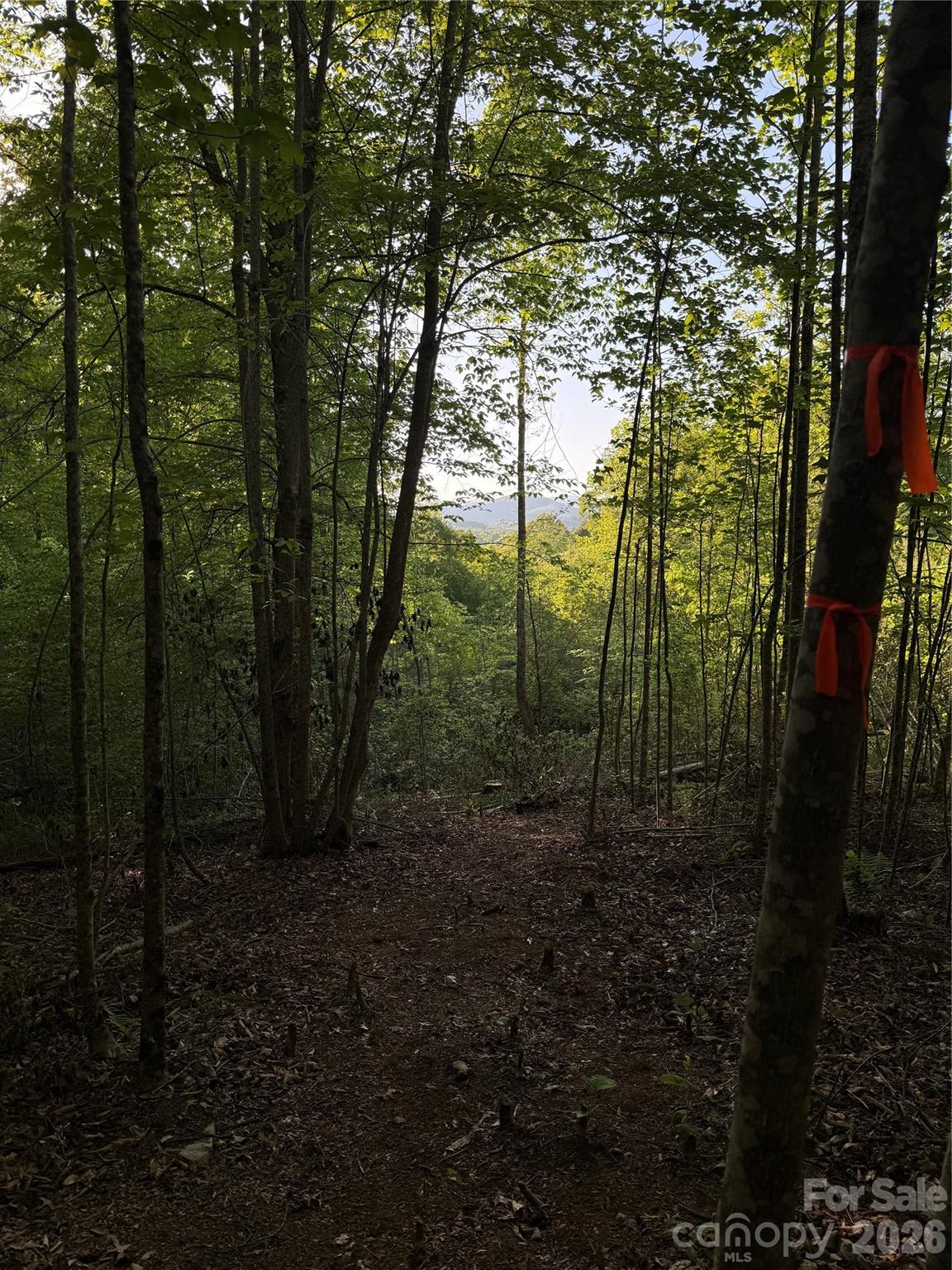 Lot # 6 West Legacy Drive Hendersonville NC 28739