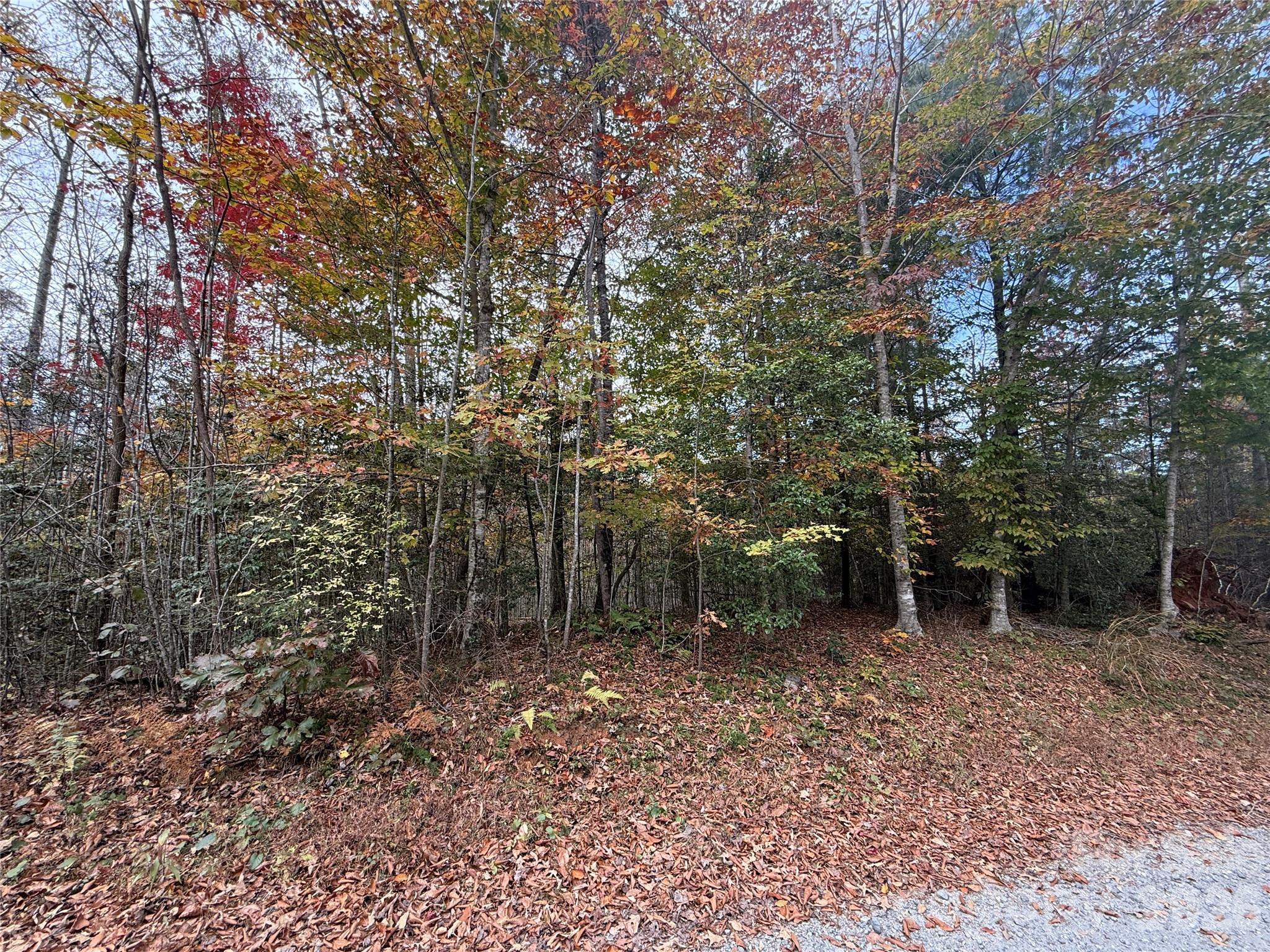 Lot # 6 West Legacy Drive Hendersonville NC 28739