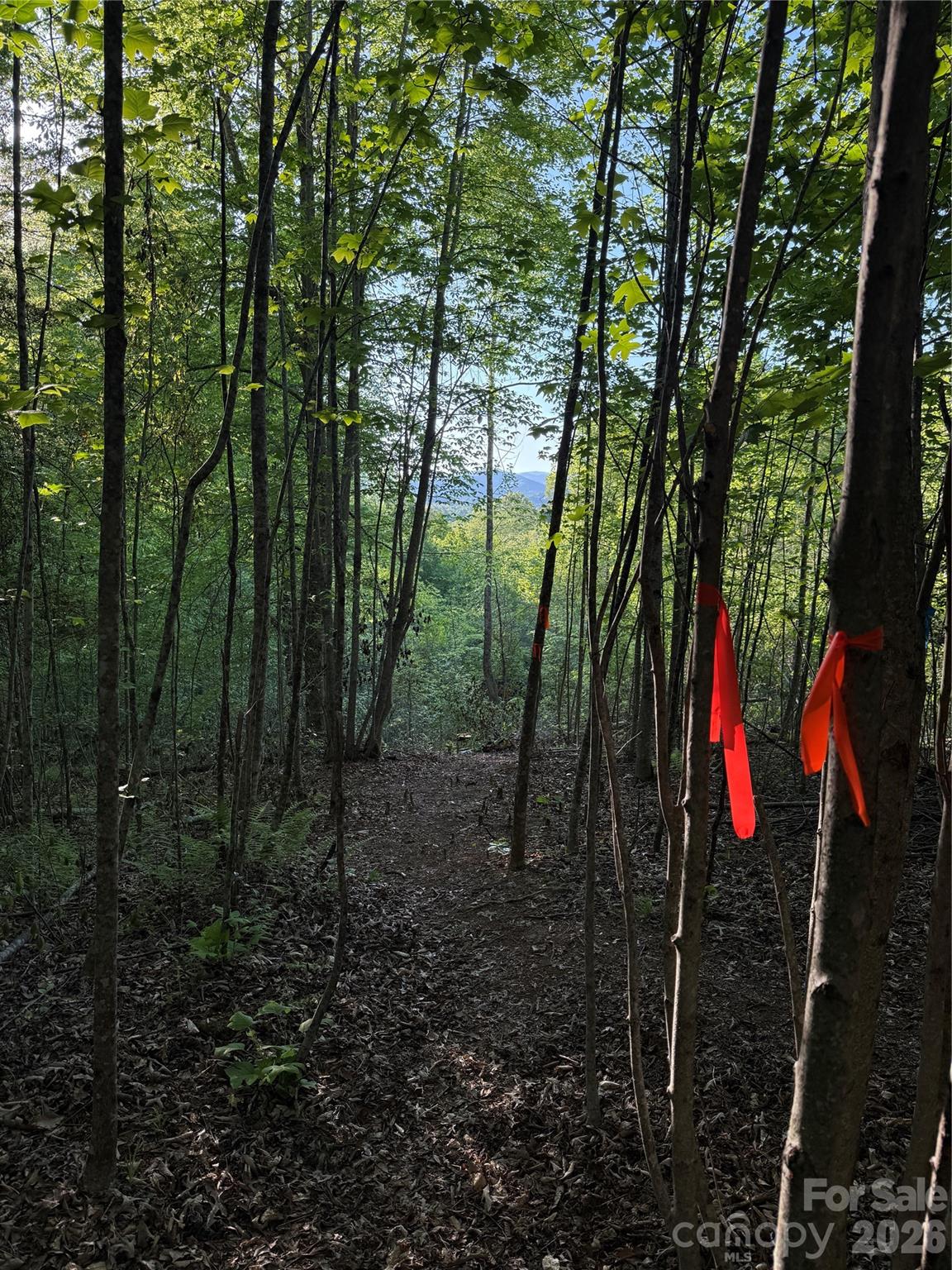 Lot # 6 West Legacy Drive Hendersonville NC 28739