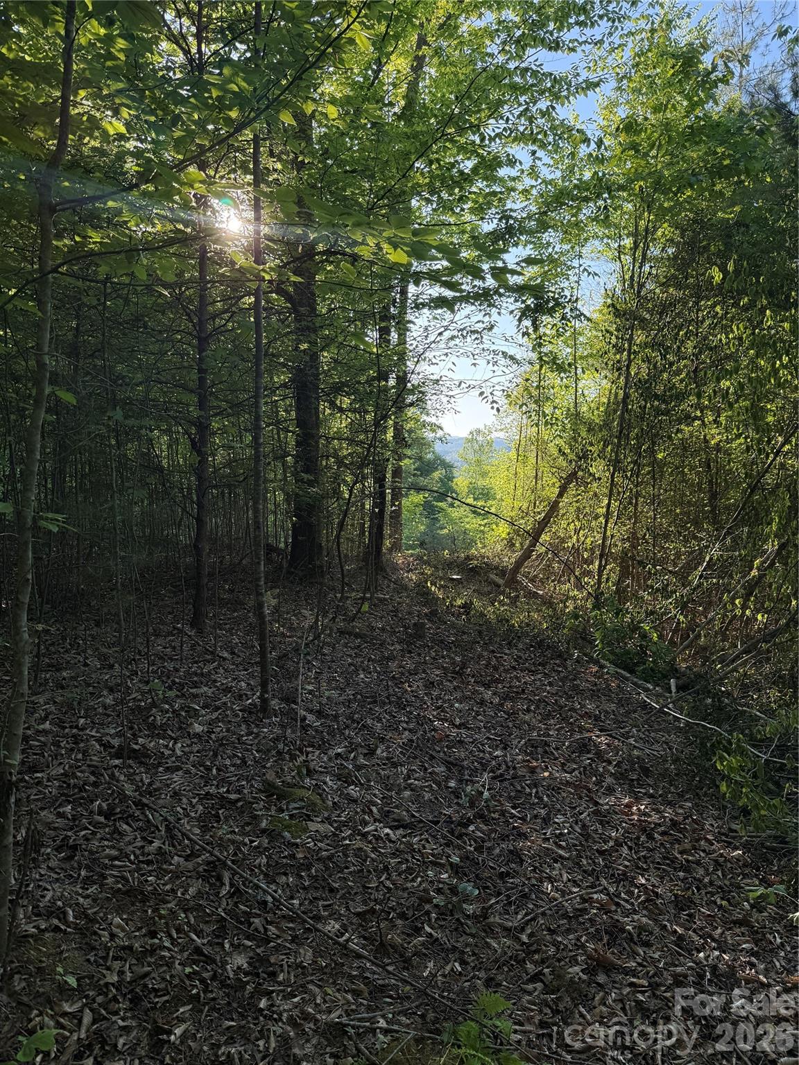 Lot # 6 West Legacy Drive Hendersonville NC 28739
