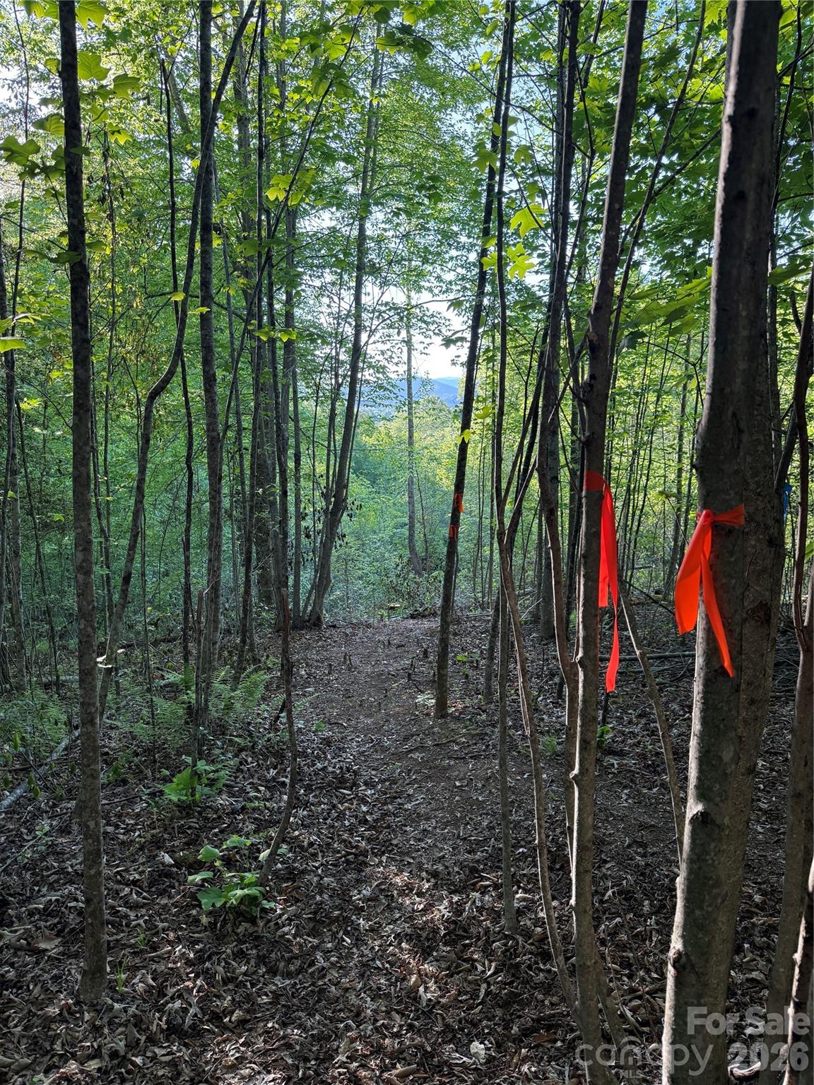 Lot # 6 West Legacy Drive Hendersonville NC 28739