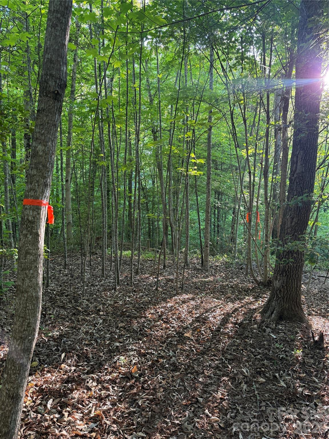 Lot # 6 West Legacy Drive Hendersonville NC 28739